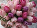 tulip bouquet