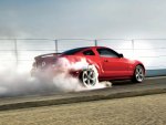 Mustang Burnout