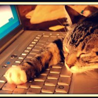 All Work & No Play...