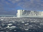 "  Iceberg  "