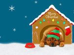 "  Christmas Puppy House  "
