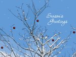 "  Season's Greetings  "