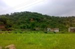 My Village