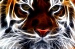 FRACTAL TIGER 2