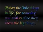 Enjoy The Little Things