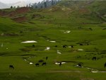 sawat valley (KPK)Pakistan