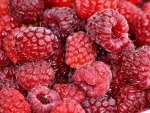 "  Raspberries Yummy  "