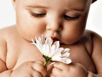 Cute baby with white flower