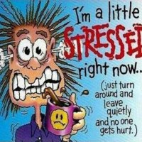 i'm a little stressed right now