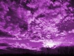 Clouds in a Purple Sky
