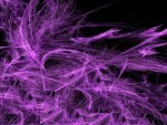 Fairy Purple Abstract