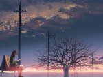 5 Centimeters Per Second