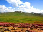Deosai