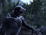 Crysis