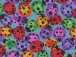 RAINBOW LADY BUGS