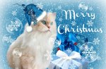 â™¥     .*.*.*.Christmas Kitty.*.*.*.     â™¥