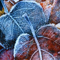 The beginning of Winter