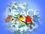 áƒ¦.Peace of Cardinals and Others.áƒ¦
