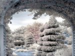 "  Winter Archway  "