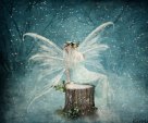 Winter Fairy