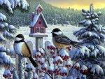 snow and birds