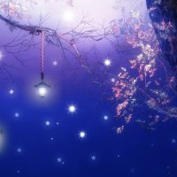 Soft stars calm night