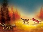 Warrior Cats!