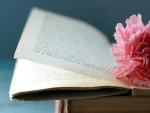 Flower and an open book