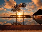 pool reflections in the tropics