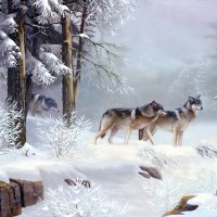 áƒ¦.Morning in Forest.áƒ¦