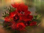 áƒ¦.Christmas in Red Flowers.áƒ¦