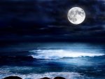 A MOONLIT OCEAN