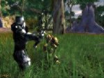Why Darkfall is Important