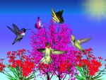 humming birds and flowers