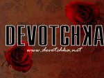 Devotchka Roses