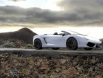 Lambo_gallardo
