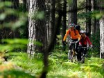 Cycling Through The Woods