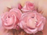 roses and faces