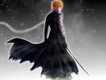 Kurosaki Ichigo