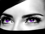 Beautiful Purple Eyes