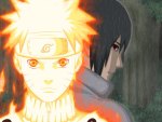 Naruto & Sasuke