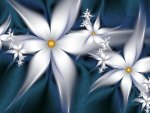 white flowers on blue