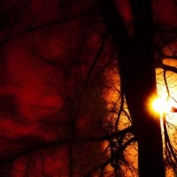 WINTER SILHHOUTTE RISE