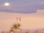 Full Moon Over Sand Dunes - White Sands National Monument - New Mexico