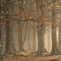 Arbroath Angus Scotland