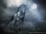 Night Mare