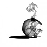 Smoking Skull