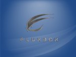 fluxboxblue