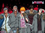 Renji, Ikkaku, Ichigo, Chad, Uryuu