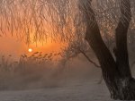 magnificent foggy winter landscape